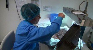 В Шымкенте украден лекарственный порошок