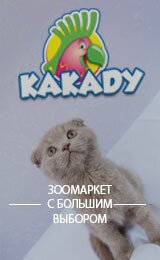 zoomarket-kakadu.kz