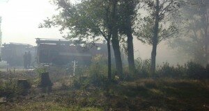 парк горит дендропарк